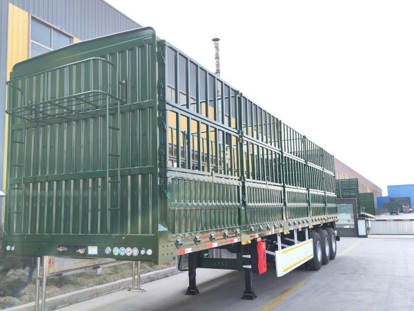 mooc lồng cao 4M
